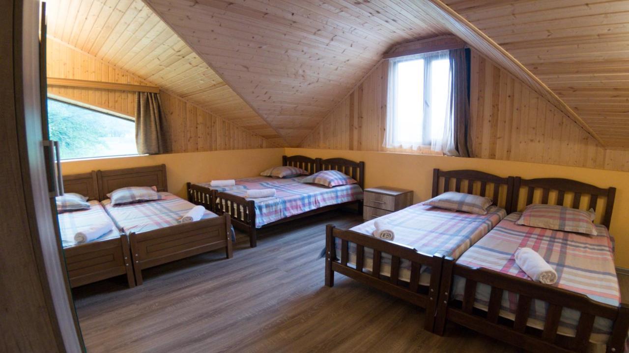 Hotel Eco House In Bakouriani Extérieur photo