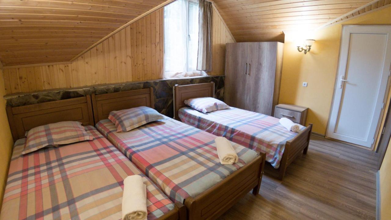 Hotel Eco House In Bakouriani Extérieur photo