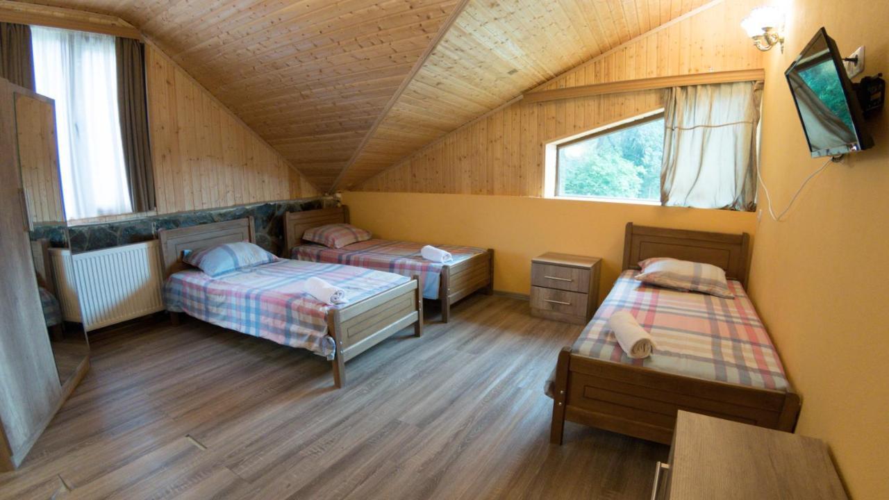 Hotel Eco House In Bakouriani Extérieur photo