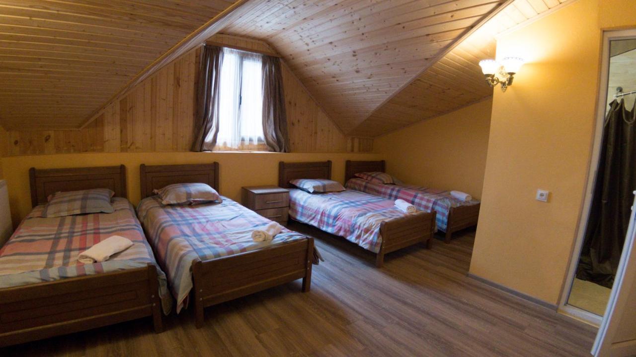 Hotel Eco House In Bakouriani Extérieur photo