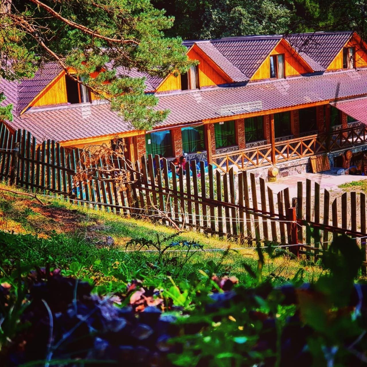 Hotel Eco House In Bakouriani Extérieur photo