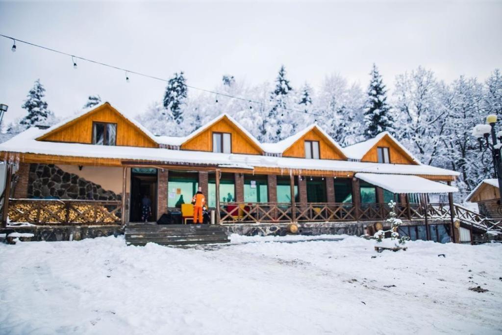 Hotel Eco House In Bakouriani Extérieur photo