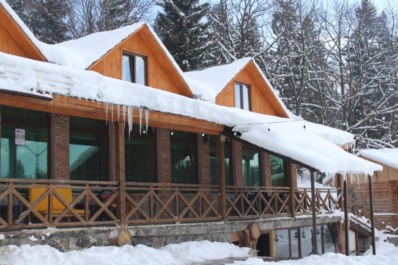 Hotel Eco House In Bakouriani Extérieur photo